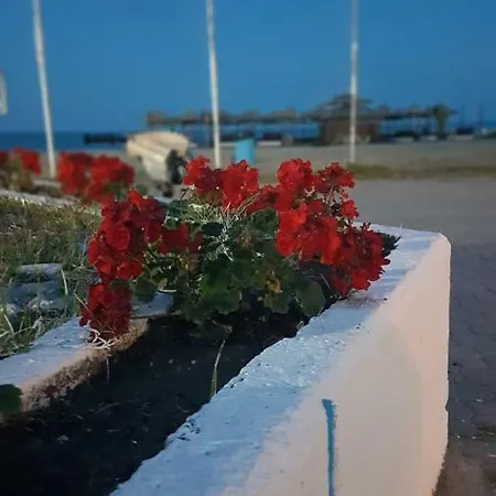 Lägenhet Lily *