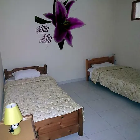 Lily דירה *